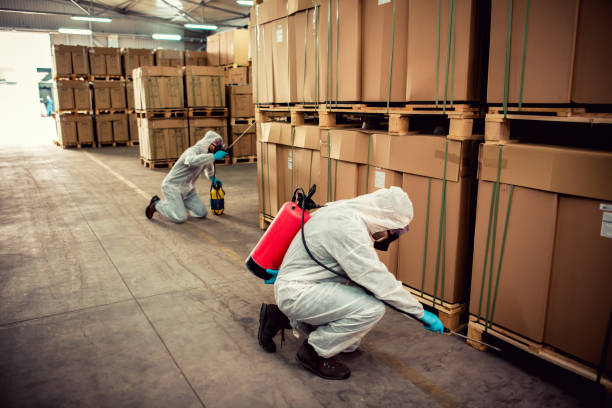 Best Pest Inspection Near Me  in Ricardo, TX