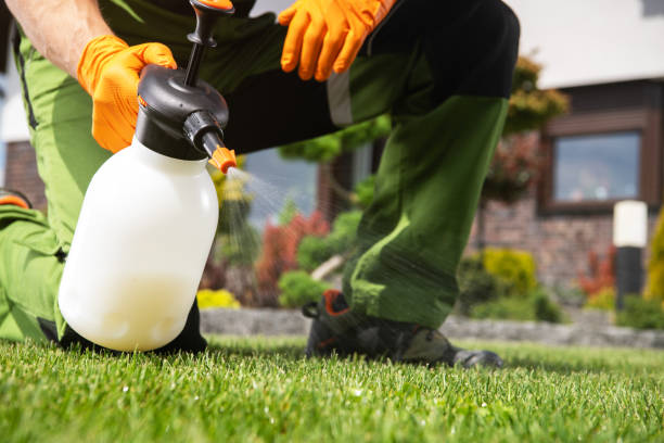 Reliable Ricardo, TX Pest Control Solutions