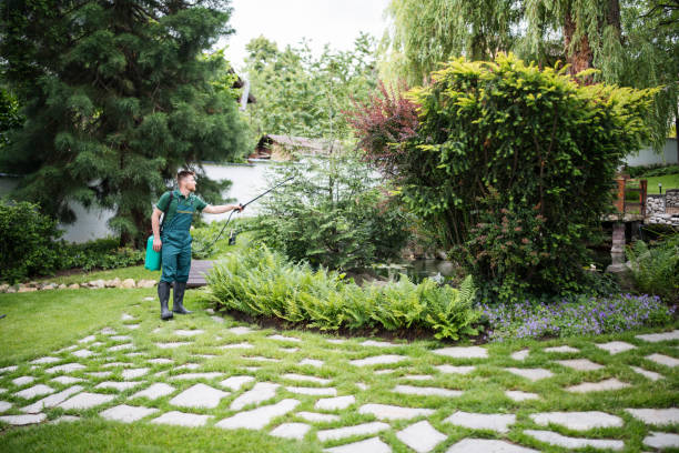 Best Best Pest Control Companies  in Ricardo, TX