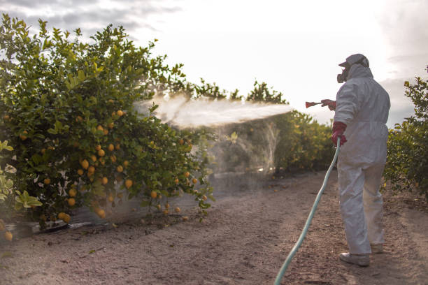 Best Pest Control Near Me  in Ricardo, TX