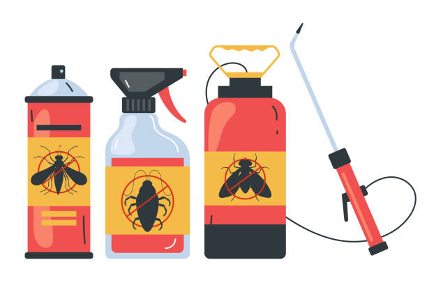 Flea Control Services in Ricardo, TX
